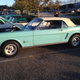 My dad had a hardtop Mustang almost exactly like this. 289, 4-speed